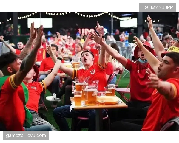 欧洲杯官方赞助商推全新合作计划，助力赛事精彩升级