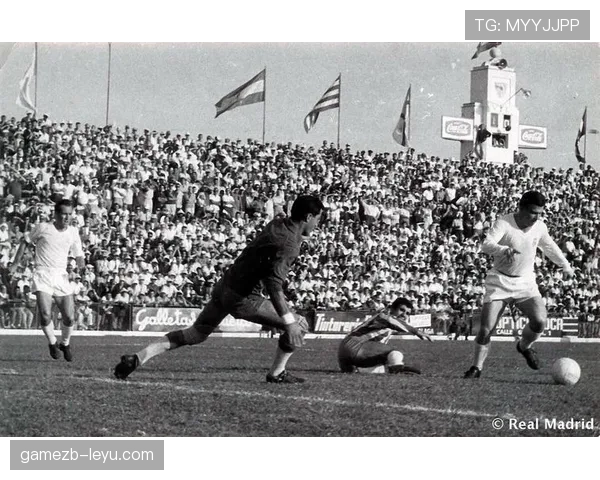 匈牙利普斯卡什球场闪耀国际足坛,盛事汇聚全球目光