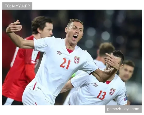 塞尔维亚队世界杯征程前景可期，实力与潜力共迎严峻挑战