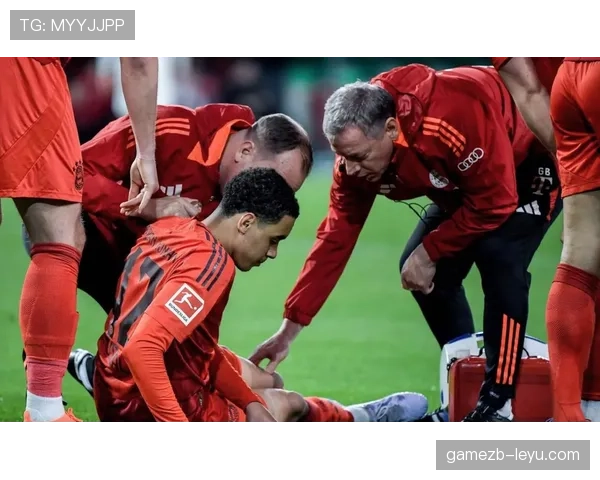 拜仁球迷持续力挺球队，彰显坚定支持与必胜信心